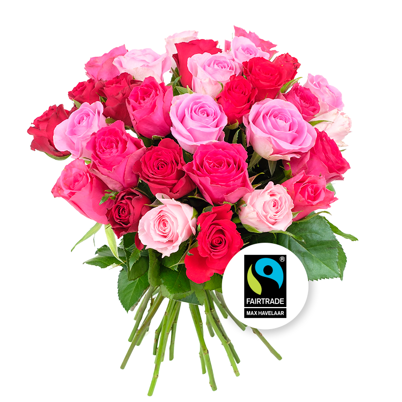 Brassée de 30 roses roses Max Havelaar – Les roses de Flora – Livraison par  Chronopost – L'atelier Interflora - Anniversaire de mariage