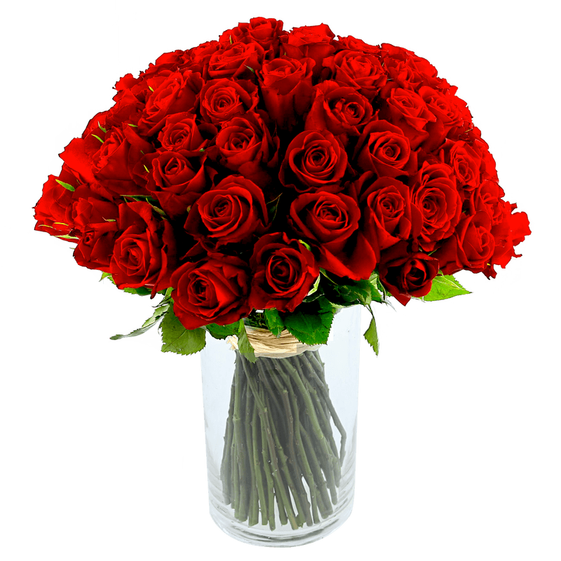 Bouquet de 101 roses rouges – Interflora – Livraison Fleurs en 24H -  Anniversaire de mariage